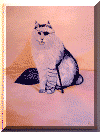 wpe2.gif (86920 Byte)