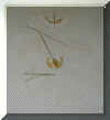 wpe13.jpg (15345 Byte)